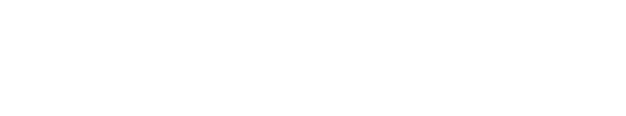 Sonic Logo